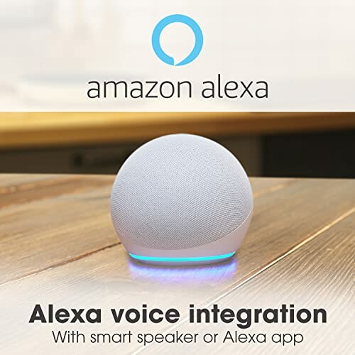 Amazon Alexa smart speaker with voice integration.