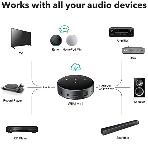 Diagram showing Wiim Mini compatibility with TV, Echo, HomePod Mini, amplifier, DAC, speaker, soundbar, CD player, and record player.