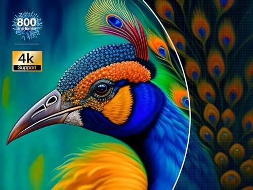 Colorful digital art of a peacock with vibrant feathers and 4K support badge.