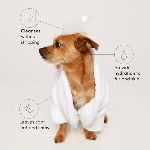 OUAI Fur Bébé Pet Shampoo