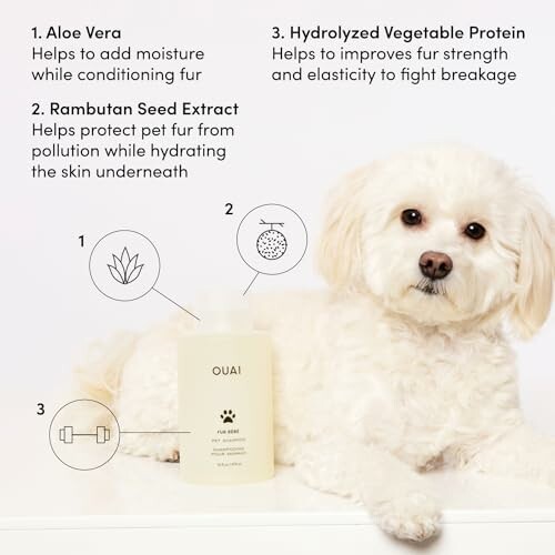 White dog with pet shampoo highlighting Aloe Vera, Rambutan Seed Extract, and Hydrolyzed Vegetable Protein benefits.