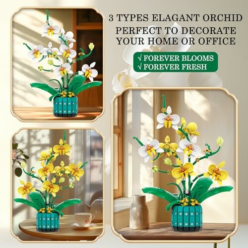 Three types of elegant orchid decorations in a room setting.