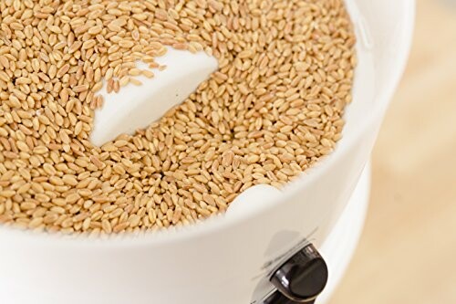 Close-up of grains in a mill