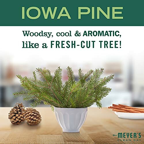 Iowa Pine advertisement with pine branches in a vase, pine cones, and cinnamon sticks.