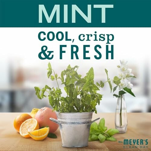 Mint plant in a metal pot with citrus fruits and flowers