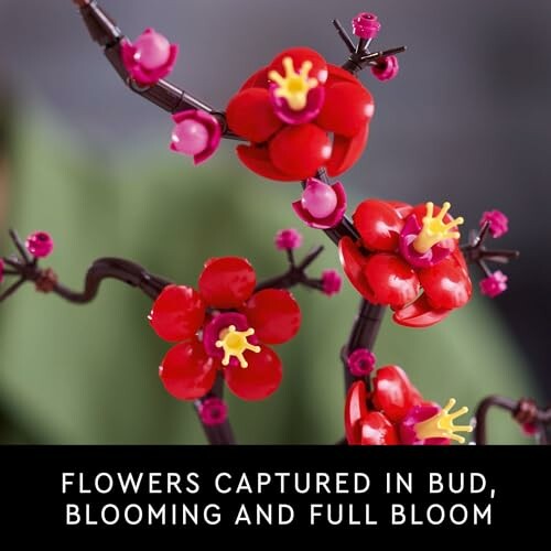 Red flowers in bud and blooming stages on branch.